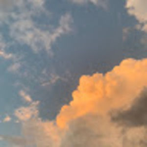 Meet your Posher, Dora